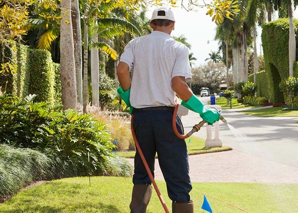 About Lagrange ME Pest Control Pros